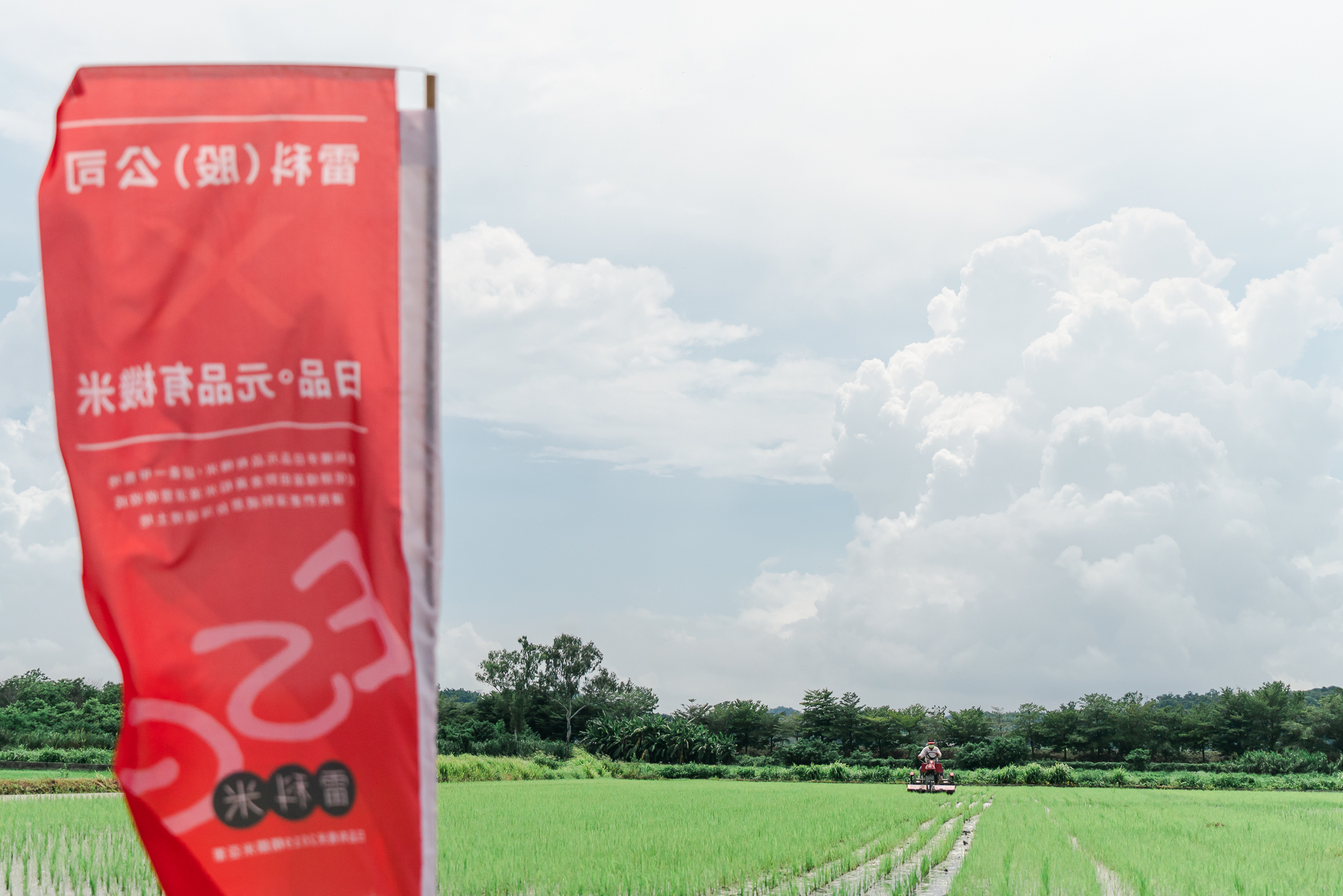 皓橘專業攝影團隊在高雄美濃拍攝雷科科技公司家庭日種夏耕一畝田之活動紀錄畫面，歡迎洽詢相關活動攝影報價